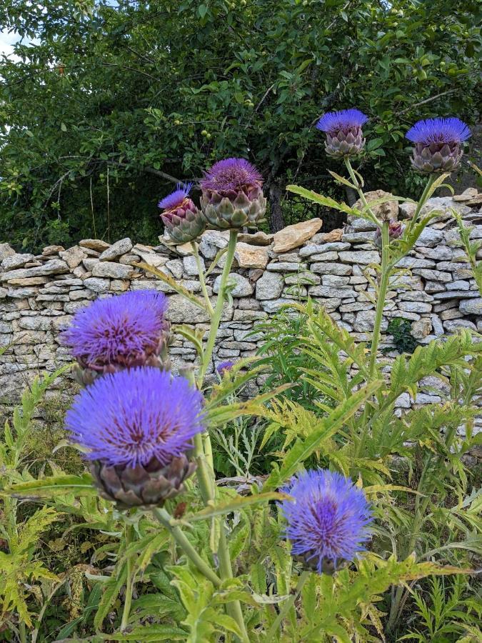 La Grange Symphorine, Chambre D'Hotes De Charme Situee Entre La Vallee De La Dordogne Et La Vallee De La Vezere Meyrals Luaran gambar